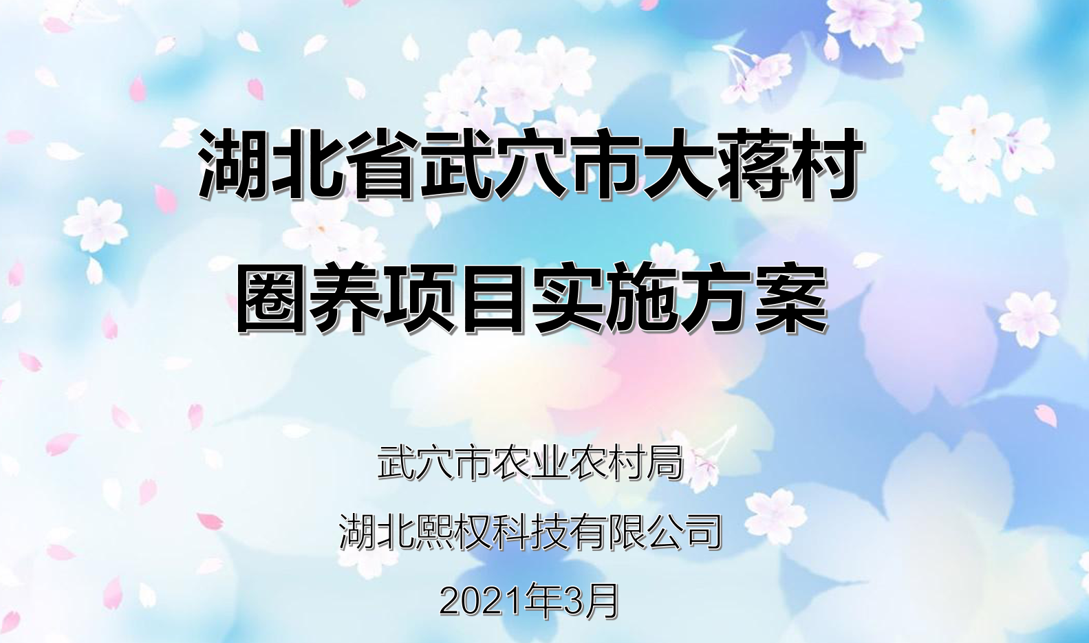武穴市“打卡”,召開不一樣的評審會
